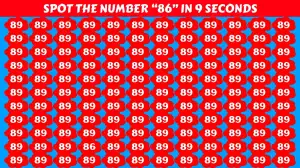 Brain Teaser for High-Level Thinkers: Can you find the Hidden number 86 among 89 in 9 Secs