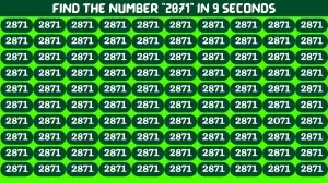 Brain Teaser For IQ Test: 99% Will Fail To Find The Number 2071 In this Picture