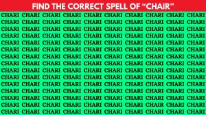 Brain Teaser For Sharp Eyes: 99% Will Fail To Find The Correct Spell of Chair In The Picture