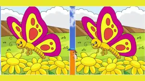 Brain Teaser Spot the Difference Picture Puzzle: Can you Spot 3 Differences in these Pictures?