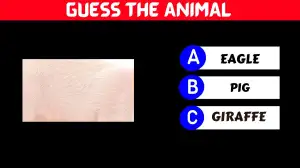 Brain Test: Only Genius Can Guess the animal name in this Image in Just 12 Secs