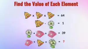 Can You Find The Value of Each Element in This Puzzle?