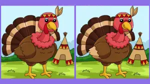 Can you spot 3 differences between the Turkey Bird pictures in 20 seconds? Only 3% will pass