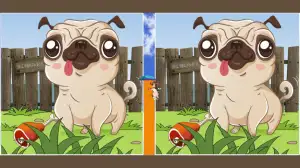 Do you have razor-sharp eyes? Spot 3 differences between Dog Image in 12 seconds!