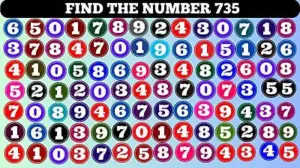 Genius Optical Illusion: You Need to Be Eagle-Eyed to Spot Hidden Number 735 in Less than 9 Seconds