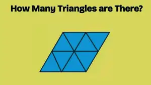 How Many Triangles are there in this Image?