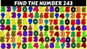 Mind-bending Brain Teaser Challenge You to Find the Number 243 in 10 Secs