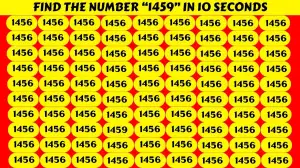 Observation Brain Challenge: If you have Hawk Eyes Find the Number 1459 in 10 Secs