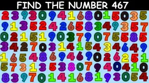 Observation Brain Challenge: If you have Hawk Eyes Find the Number 467 in 13 Secs