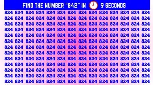 Observation Brain Challenge: If you have Hawk Eyes Find the Number 842 in 9 Secs