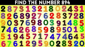 Observation Brain Challenge: Only Extra Sharp Eyes Can Find the Number 894 in 15 Secs