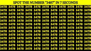 Observation Find it Out: If you have Extra Sharp Eyes Find the Hidden Number 3487 in 15 Secs