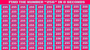 Observation Find it Out: If you have Sharp Eyes Find the Number 256 in 8 Secs