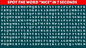 Observation Find it Out: If you have Sharp Eyes Find the Word Nice in 8 Secs