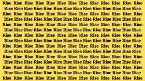 Observation Find it Out: If you have Sharp Eyes Find the Word Rice among Rise in 20 Secs