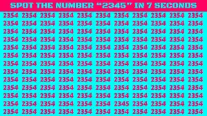 Observation Find it Out: Only Extra Sharp Eyes Find the Number 2345 in 7 Secs