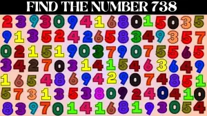 Only 10% of People Can Spot the Number 738 in This Image Within 10 Seconds