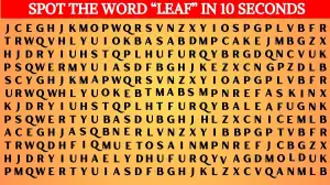 Only 10% of People Can Spot the Word Leaf in This Brain Teaser Within 10 Seconds