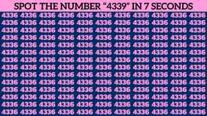 Only 20% of People Can Spot the Number 4339 in This Brain Teaser Within 10 Seconds