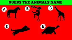 Only 3% of People can Guess the Animal Name in Less than 5 Seconds