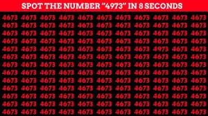 Only 5% of People Can Spot the Number 4973 among 4673 in This Optical Illusion Within 10 Seconds