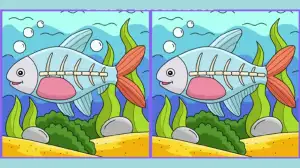 Only keen observers can spot 3 differences in the Fish picture within 18 seconds. Can you?