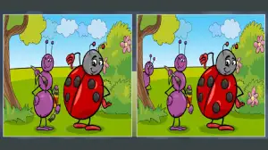 Only razor sharp eyes can spot 5 differences between the ant and lady bug pictures in 14 seconds!