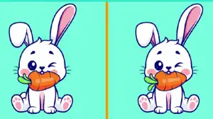 Only the smartest can spot 3 differences between the Rabbit eating Carrot pictures in 15 seconds.