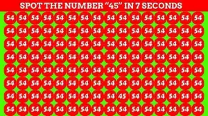 Optical Illusion Eye Test: Only a Smart Brain Can Spot Number 45 Within 13 Secs!