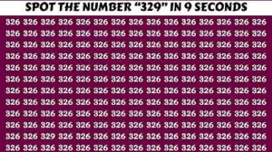 Optical Illusion for High-Level Thinkers: Can you find the Hidden number 329 among 326 in 9 Secs