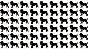 Optical Illusion: How fast can you Spot the Odd Lion in this Visual Puzzle?