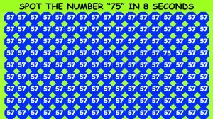 Optical Illusion Puzzle: Only 20/20 HD Vision People can Find the Number 75 among 57 in 10 Secs