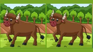 Optical Illusion Spot the Difference Game: If You Have Eagle Eyes Find the 3 Differences in the Bull Images Within 15 Seconds?