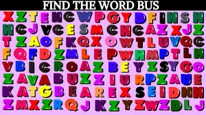 Optical Illusion to Test Your Vision: You have X-ray vision if you can spot the Word Bus in 13 Secs