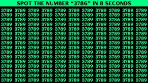 Optical Illusion Vision Test: Only A Human With 360 Vision Can Spot the Number 3786 in 12 Secs