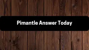 Pimantle Answer Today November 19 2023