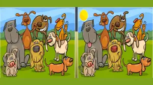 Prove yourself by finding 5 differences between the Dogs Family picture in 20 seconds.