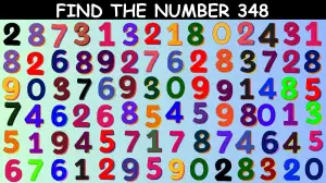 Puzzle for IQ Test: You have X-Ray vision if you can spot the number 348 in 18 Secs