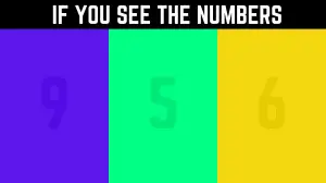 Puzzle: Only 50/50 HD Vision People can Find the Hidden Number in this Image in 6 Secs