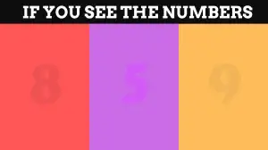 Puzzle: Only Genius Can Guess the Hidden Number in this Image in 10 Secs