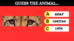 Observation Find it Out: Only Genius Can Guess the Animal in 15 Seconds