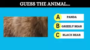 Brain Teaser IQ Test: Only Brilliant Minds Can Guess the Animal in 8 Seconds