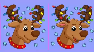 Spot 3 differences between the Reindeer pictures in 12 seconds!