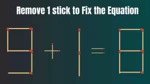 Can You Solve the Equation 9+1=8 by Removing 1 Stick?