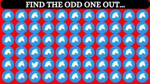 Brain Teaser Eye Test: Can you spot and Find the Odd One Out in this Picture?