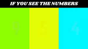 Visual test: Only 20/20 Vision Can Find the Hidden Number in this Image in 12 Seconds