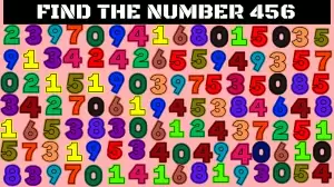 Observation Find it Out: Only Extra Sharp Eyes Can Find the Number 456 in 10 Secs