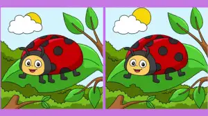 Spot the Difference Picture Puzzle: You are better than 95% of people if you can spot 3 differences between the lady Bug pictures in 15 seconds!