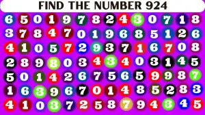 Test Visual Acuity: Only 4k Vision People can Find the Number 924 in 8 Secs