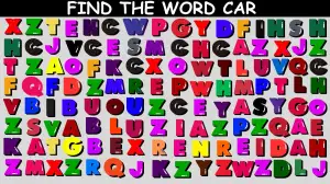 Test Visual Acuity: Only A Human With 360 Vision Can Spot the Word Car in 15 Secs